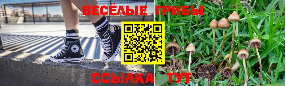 Псилоцибиновые грибы Cubensis Комсомольск-на-Амуре